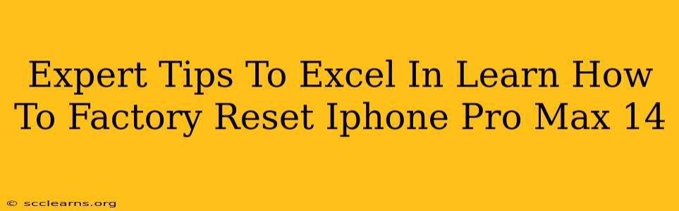 Expert Tips To Excel In Learn How To Factory Reset Iphone Pro Max 14