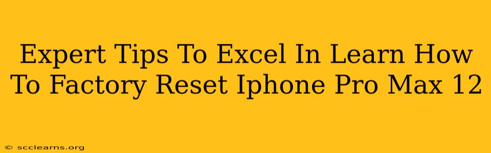 Expert Tips To Excel In Learn How To Factory Reset Iphone Pro Max 12