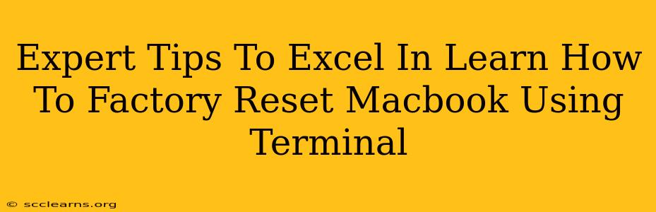 Expert Tips To Excel In Learn How To Factory Reset Macbook Using Terminal