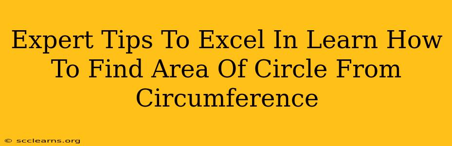 Expert Tips To Excel In Learn How To Find Area Of Circle From Circumference