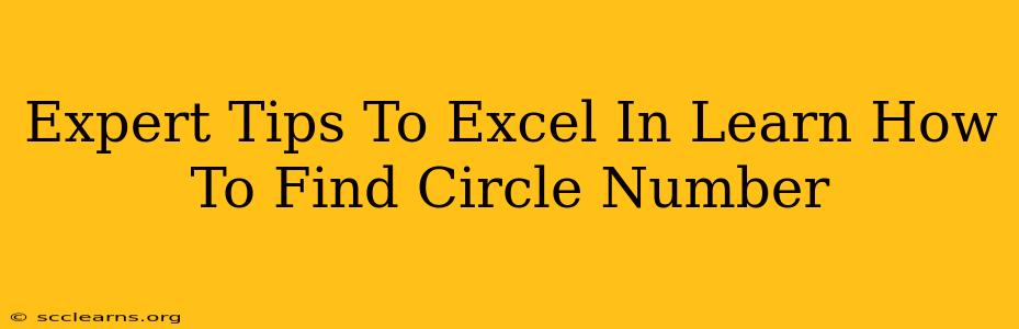 Expert Tips To Excel In Learn How To Find Circle Number