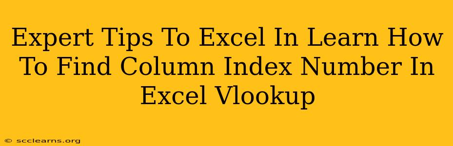 Expert Tips To Excel In Learn How To Find Column Index Number In Excel Vlookup