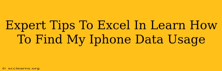 Expert Tips To Excel In Learn How To Find My Iphone Data Usage