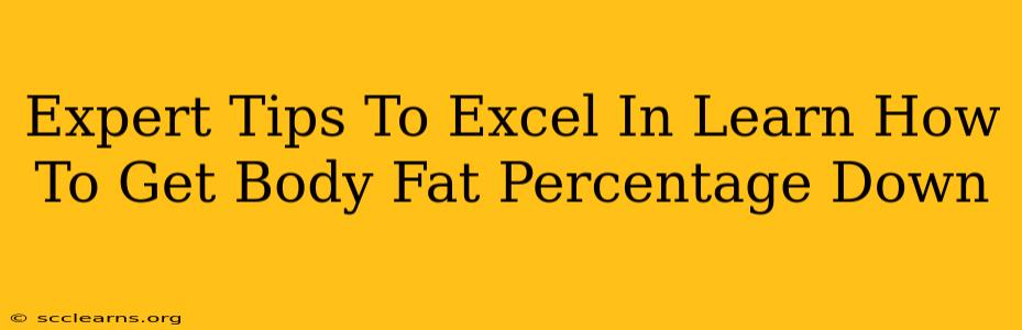 Expert Tips To Excel In Learn How To Get Body Fat Percentage Down