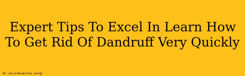 Expert Tips To Excel In Learn How To Get Rid Of Dandruff Very Quickly