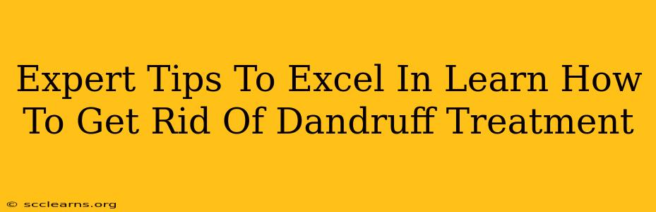 Expert Tips To Excel In Learn How To Get Rid Of Dandruff Treatment