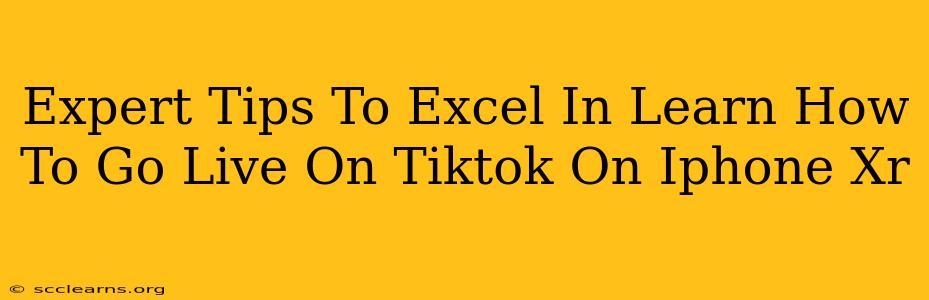 Expert Tips To Excel In Learn How To Go Live On Tiktok On Iphone Xr