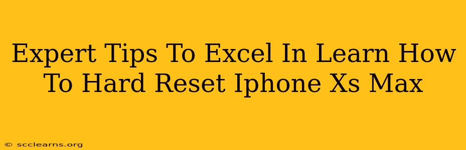 Expert Tips To Excel In Learn How To Hard Reset Iphone Xs Max