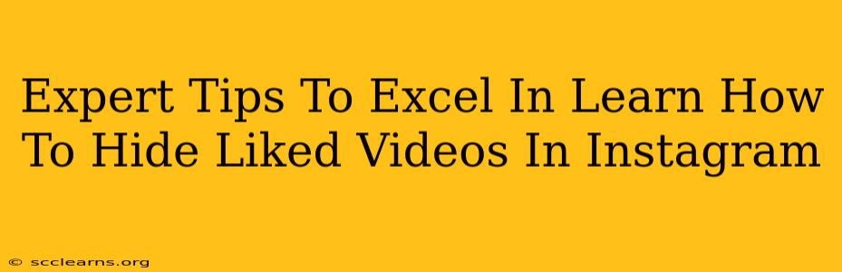 Expert Tips To Excel In Learn How To Hide Liked Videos In Instagram