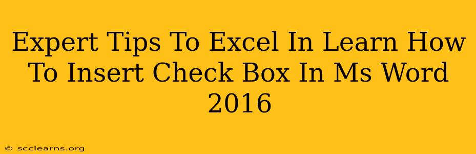 Expert Tips To Excel In Learn How To Insert Check Box In Ms Word 2016