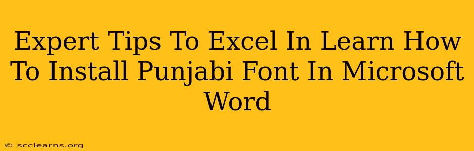 Expert Tips To Excel In Learn How To Install Punjabi Font In Microsoft Word