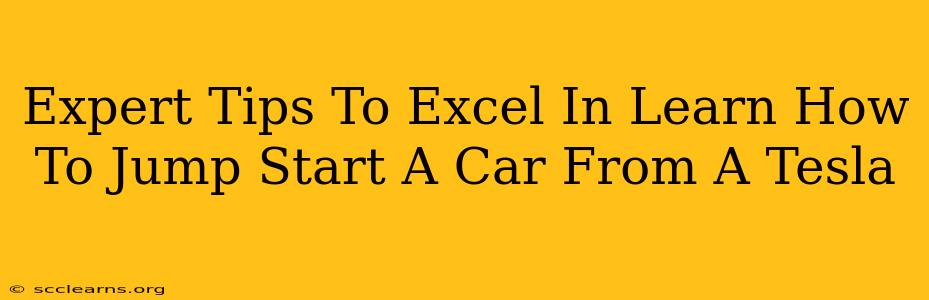 Expert Tips To Excel In Learn How To Jump Start A Car From A Tesla