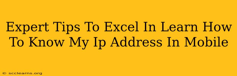 Expert Tips To Excel In Learn How To Know My Ip Address In Mobile