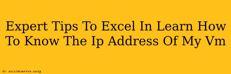 Expert Tips To Excel In Learn How To Know The Ip Address Of My Vm