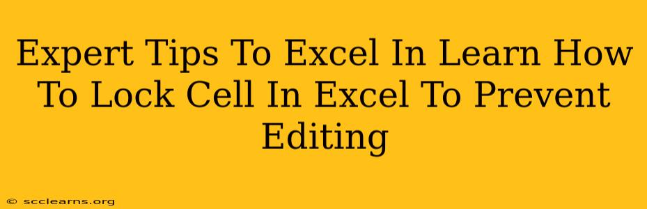 Expert Tips To Excel In Learn How To Lock Cell In Excel To Prevent Editing