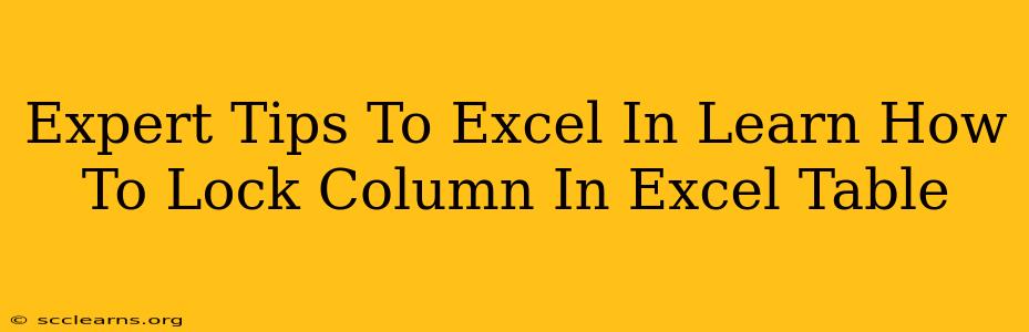 Expert Tips To Excel In Learn How To Lock Column In Excel Table