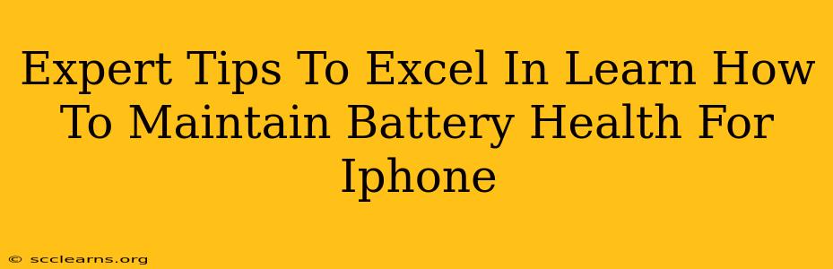 Expert Tips To Excel In Learn How To Maintain Battery Health For Iphone