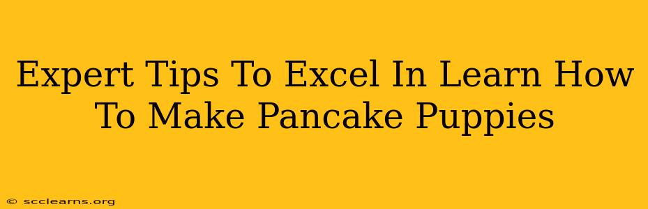 Expert Tips To Excel In Learn How To Make Pancake Puppies