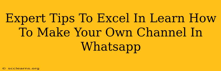 Expert Tips To Excel In Learn How To Make Your Own Channel In Whatsapp