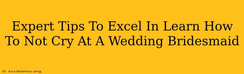 Expert Tips To Excel In Learn How To Not Cry At A Wedding Bridesmaid