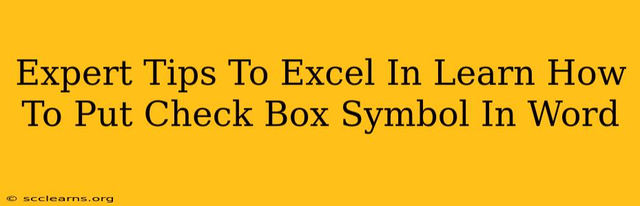 Expert Tips To Excel In Learn How To Put Check Box Symbol In Word