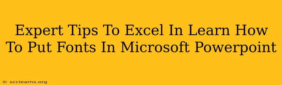 Expert Tips To Excel In Learn How To Put Fonts In Microsoft Powerpoint