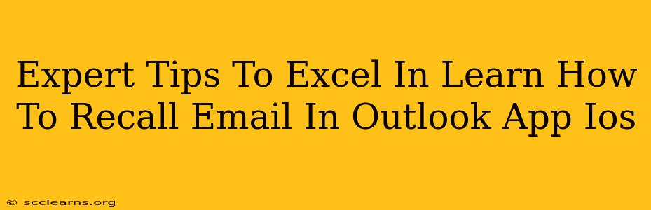 Expert Tips To Excel In Learn How To Recall Email In Outlook App Ios