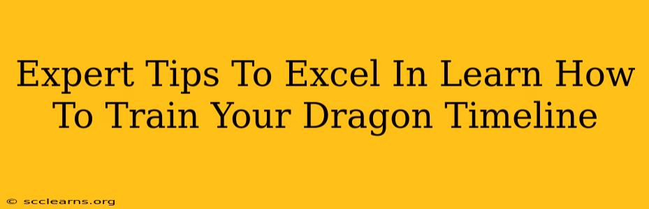 Expert Tips To Excel In Learn How To Train Your Dragon Timeline