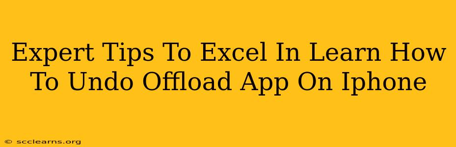 Expert Tips To Excel In Learn How To Undo Offload App On Iphone