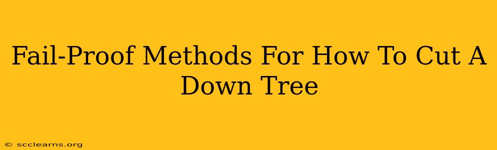 Fail-Proof Methods For How To Cut A Down Tree