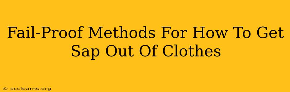 Fail-Proof Methods For How To Get Sap Out Of Clothes