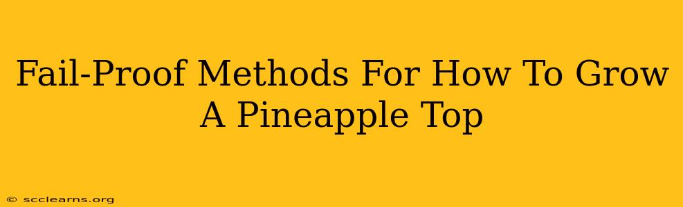 Fail-Proof Methods For How To Grow A Pineapple Top