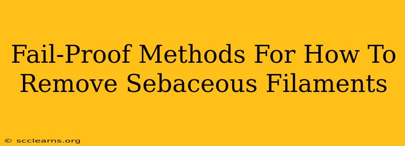 Fail-Proof Methods For How To Remove Sebaceous Filaments