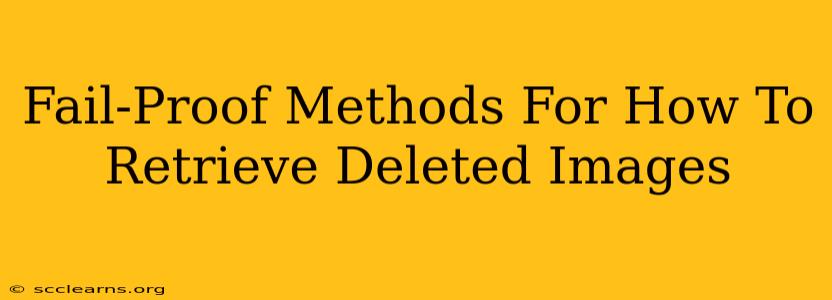 Fail-Proof Methods For How To Retrieve Deleted Images