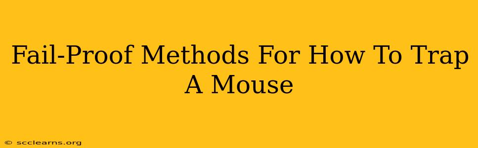 Fail-Proof Methods For How To Trap A Mouse