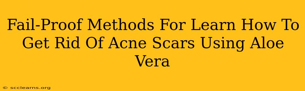 Fail-Proof Methods For Learn How To Get Rid Of Acne Scars Using Aloe Vera