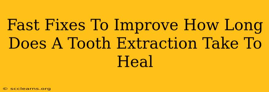 Fast Fixes To Improve How Long Does A Tooth Extraction Take To Heal