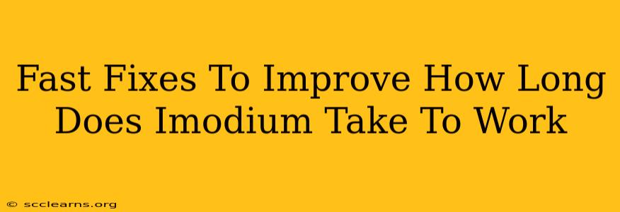 Fast Fixes To Improve How Long Does Imodium Take To Work