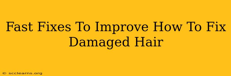 Fast Fixes To Improve How To Fix Damaged Hair