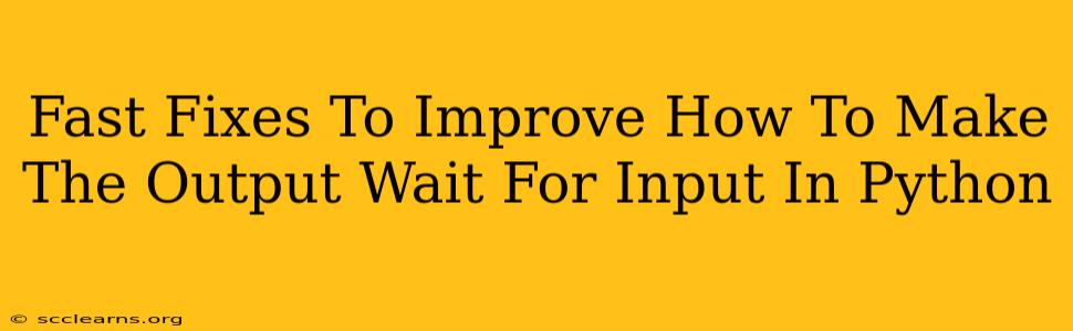 Fast Fixes To Improve How To Make The Output Wait For Input In Python