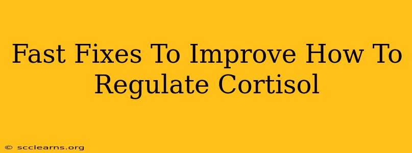 Fast Fixes To Improve How To Regulate Cortisol