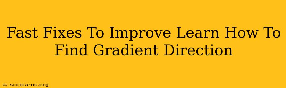 Fast Fixes To Improve Learn How To Find Gradient Direction