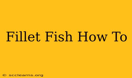 Fillet Fish How To