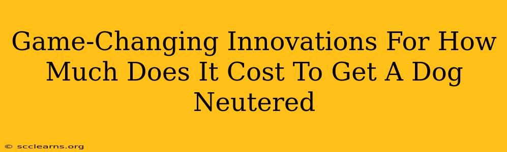 Game-Changing Innovations For How Much Does It Cost To Get A Dog Neutered