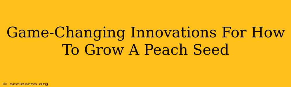 Game-Changing Innovations For How To Grow A Peach Seed