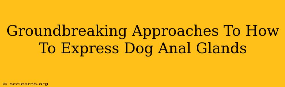 Groundbreaking Approaches To How To Express Dog Anal Glands