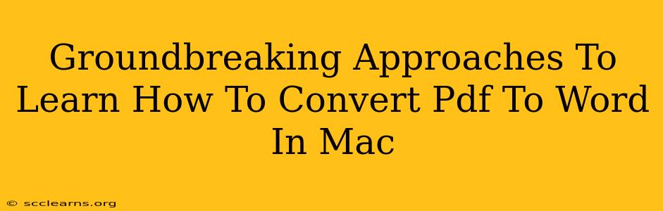 Groundbreaking Approaches To Learn How To Convert Pdf To Word In Mac