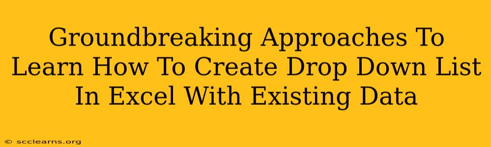 Groundbreaking Approaches To Learn How To Create Drop Down List In Excel With Existing Data