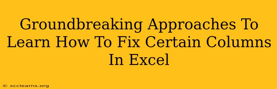 Groundbreaking Approaches To Learn How To Fix Certain Columns In Excel