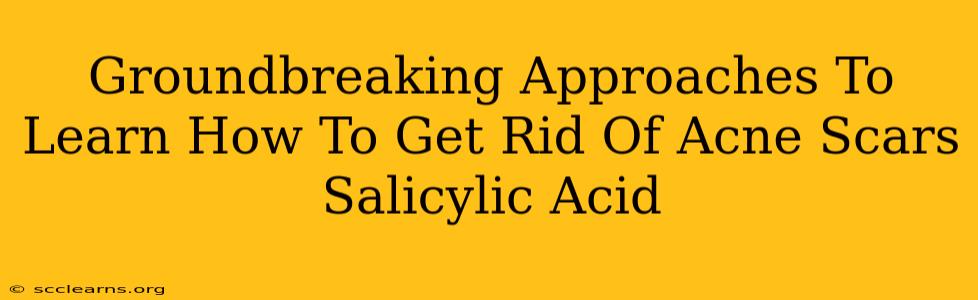 Groundbreaking Approaches To Learn How To Get Rid Of Acne Scars Salicylic Acid